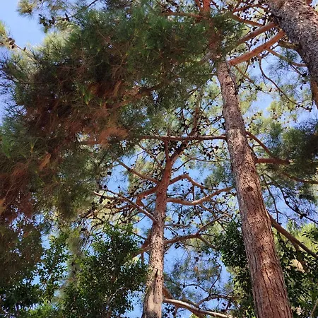 Yasou Summer House * Loutraki (Corinthia)