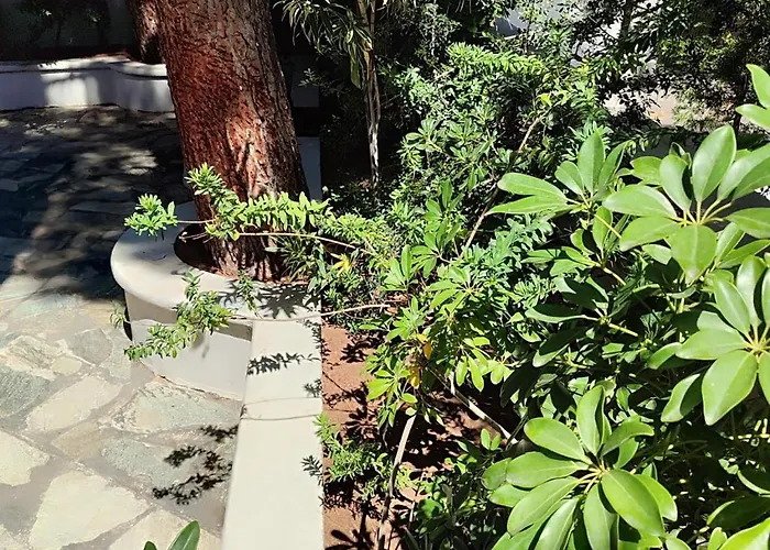 Yasou Summer House Apartamento