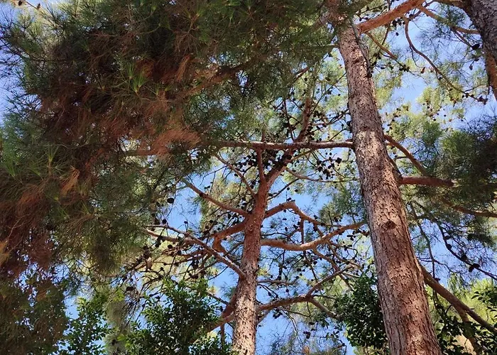 Yasou Summer House * Loutráki